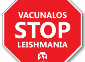 Campaña stop leishmaniosis de la clinica veterinaria la viña en estepona